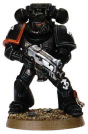 RavenGuard-Mini.png